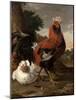 Fowl (Oil on Canvas)-Melchior de Hondecoeter-Mounted Giclee Print