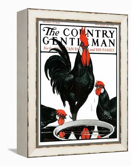 "Fowl Reflections," Country Gentleman Cover, October 27, 1923-Paul Bransom-Framed Premier Image Canvas