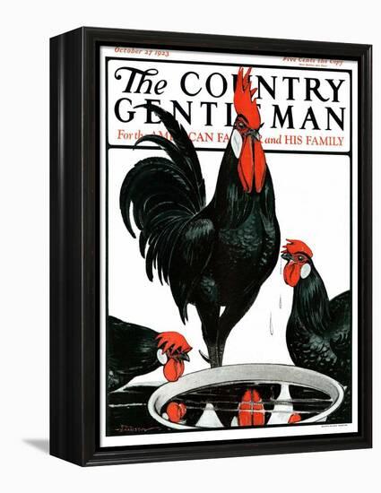 "Fowl Reflections," Country Gentleman Cover, October 27, 1923-Paul Bransom-Framed Premier Image Canvas