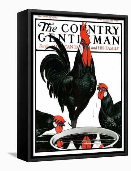 "Fowl Reflections," Country Gentleman Cover, October 27, 1923-Paul Bransom-Framed Premier Image Canvas