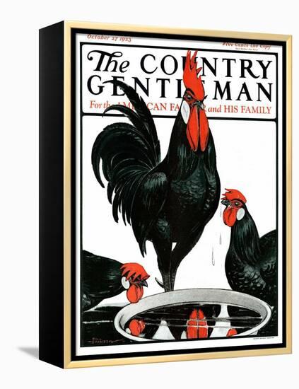 "Fowl Reflections," Country Gentleman Cover, October 27, 1923-Paul Bransom-Framed Premier Image Canvas