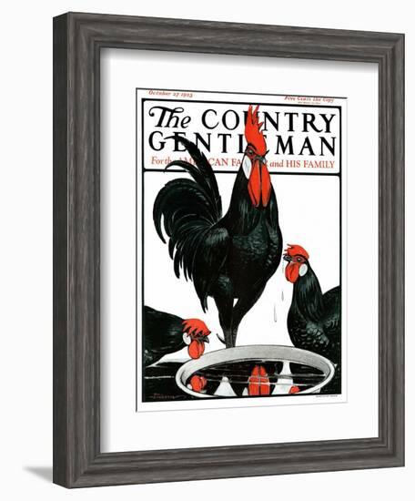 "Fowl Reflections," Country Gentleman Cover, October 27, 1923-Paul Bransom-Framed Giclee Print