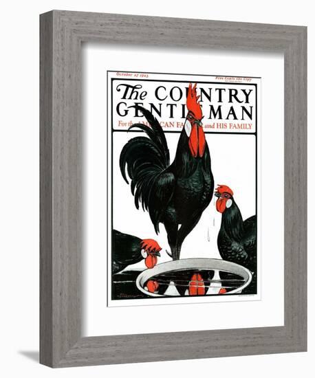 "Fowl Reflections," Country Gentleman Cover, October 27, 1923-Paul Bransom-Framed Giclee Print