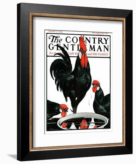 "Fowl Reflections," Country Gentleman Cover, October 27, 1923-Paul Bransom-Framed Giclee Print