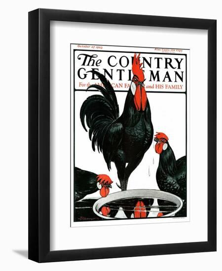 "Fowl Reflections," Country Gentleman Cover, October 27, 1923-Paul Bransom-Framed Giclee Print