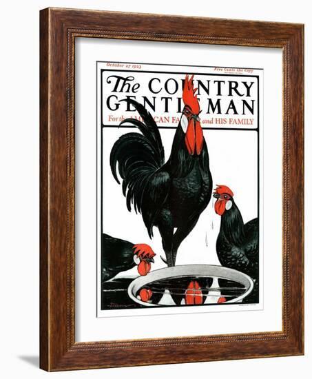 "Fowl Reflections," Country Gentleman Cover, October 27, 1923-Paul Bransom-Framed Giclee Print