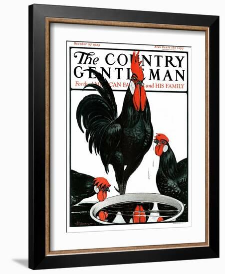 "Fowl Reflections," Country Gentleman Cover, October 27, 1923-Paul Bransom-Framed Giclee Print