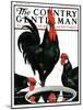 "Fowl Reflections," Country Gentleman Cover, October 27, 1923-Paul Bransom-Mounted Giclee Print