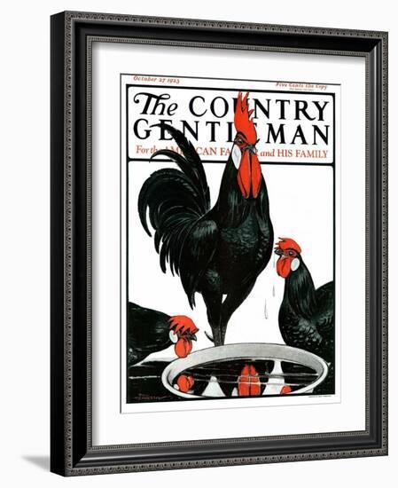 "Fowl Reflections," Country Gentleman Cover, October 27, 1923-Paul Bransom-Framed Giclee Print