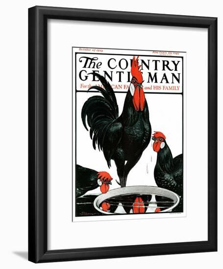 "Fowl Reflections," Country Gentleman Cover, October 27, 1923-Paul Bransom-Framed Giclee Print