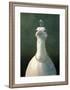 Fowl with Pearls-Michael Sowa-Framed Art Print