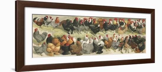 Fowl-Alexander Francis Lydon-Framed Giclee Print