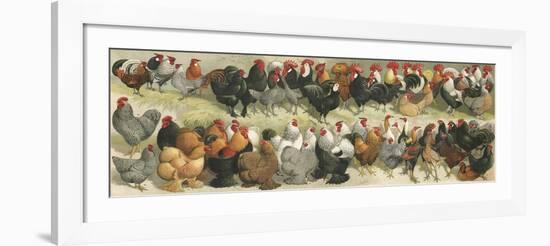 Fowl-Alexander Francis Lydon-Framed Giclee Print