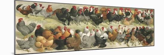 Fowl-Alexander Francis Lydon-Mounted Giclee Print