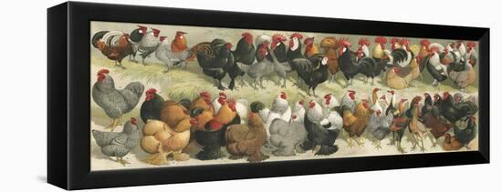 Fowl-Alexander Francis Lydon-Framed Premier Image Canvas