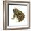 Fowler's Toad (Bufo Fowleri), Amphibians-Encyclopaedia Britannica-Framed Art Print