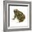 Fowler's Toad (Bufo Fowleri), Amphibians-Encyclopaedia Britannica-Framed Art Print