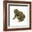 Fowler's Toad (Bufo Fowleri), Amphibians-Encyclopaedia Britannica-Framed Art Print