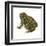 Fowler's Toad (Bufo Fowleri), Amphibians-Encyclopaedia Britannica-Framed Art Print