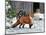 Fox and Barn-Russell Cobane-Mounted Art Print