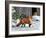 Fox and Barn-Russell Cobane-Framed Giclee Print