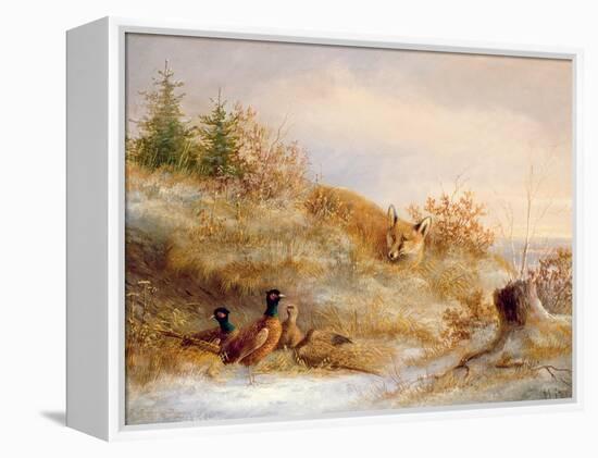 Fox and Pheasants in Winter-null-Framed Premier Image Canvas