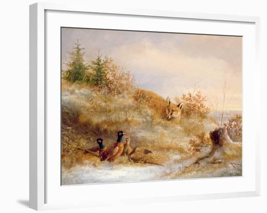 Fox and Pheasants in Winter-null-Framed Giclee Print