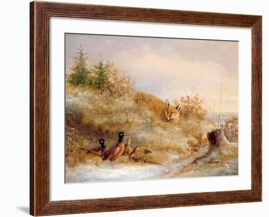 Fox and Pheasants in Winter-null-Framed Giclee Print