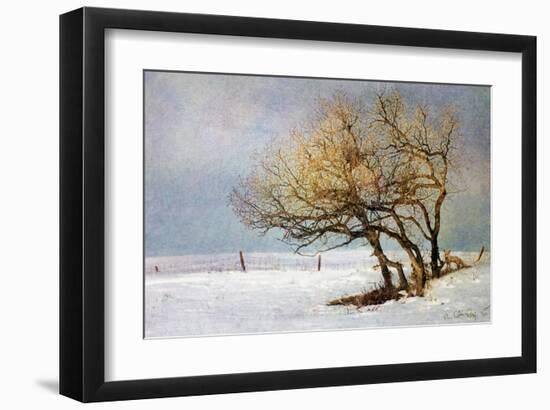 Fox and Winter Oak-Chris Vest-Framed Art Print