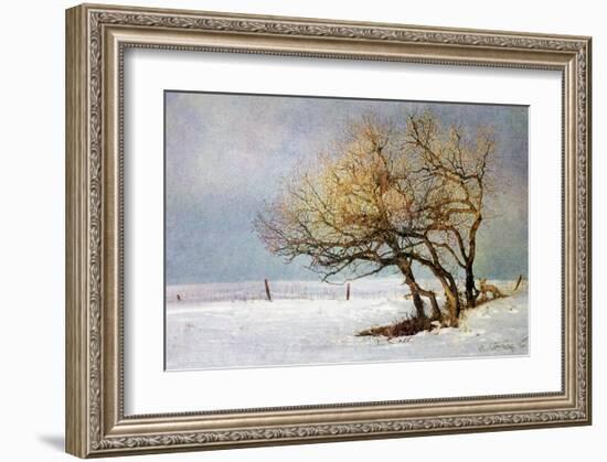 Fox and Winter Oak-Chris Vest-Framed Art Print