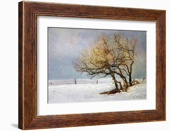 Fox and Winter Oak-Chris Vest-Framed Art Print