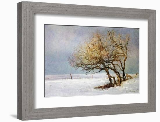 Fox and Winter Oak-Chris Vest-Framed Art Print