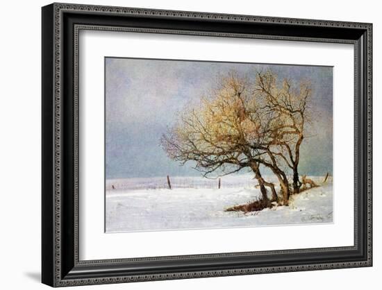 Fox and Winter Oak-Chris Vest-Framed Art Print