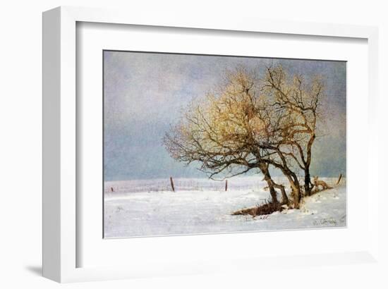 Fox and Winter Oak-Chris Vest-Framed Art Print