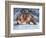 Fox at the Pines-Kevin Daniel-Framed Giclee Print