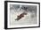 Fox Being Chased Through the Snow-Bruno Andreas Liljefors-Framed Giclee Print