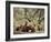 Fox Cubs-null-Framed Photographic Print