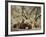 Fox Cubs-null-Framed Photographic Print