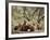 Fox Cubs-null-Framed Photographic Print