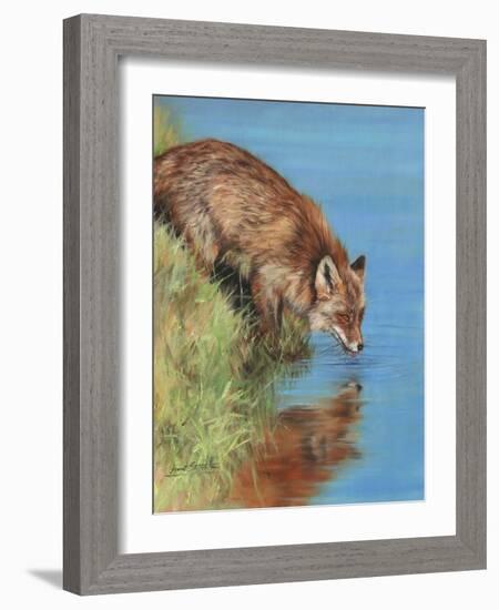 fox drinking-David Stribbling-Framed Art Print