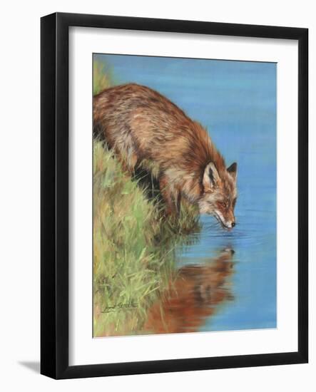 fox drinking-David Stribbling-Framed Art Print