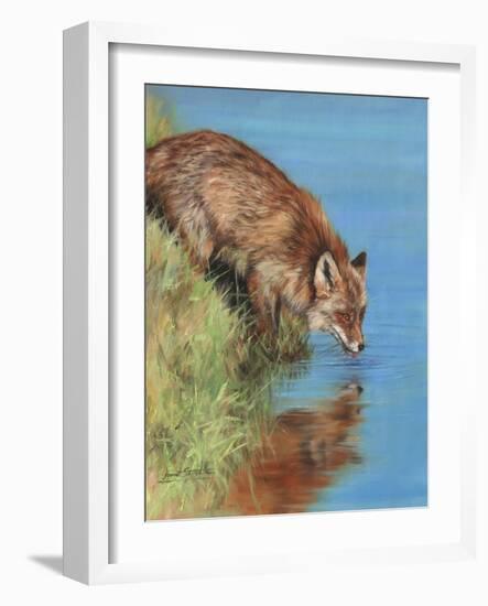 fox drinking-David Stribbling-Framed Art Print