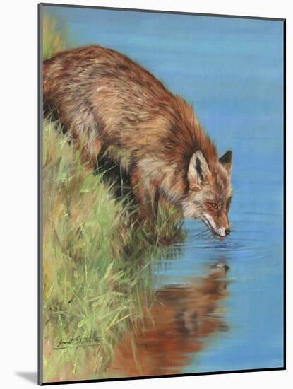 fox drinking-David Stribbling-Mounted Art Print