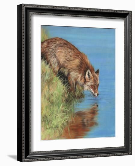 fox drinking-David Stribbling-Framed Art Print