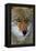 Fox Face-Howard Ruby-Framed Premier Image Canvas