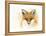 Fox Fire-Michelle Faber-Framed Premier Image Canvas