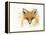 Fox Fire-Michelle Faber-Framed Premier Image Canvas