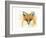 Fox Fire-Michelle Faber-Framed Giclee Print