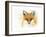 Fox Fire-Michelle Faber-Framed Giclee Print