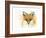 Fox Fire-Michelle Faber-Framed Giclee Print